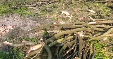 जिला उद्यान अधिकारी बोले- ‘पहले ADO से बात कर लूँ, फिर बताऊंगा’