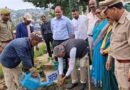 विश्व पर्यावरण दिवस पर चम्पावत में गूंजा हरियाली का संदेश