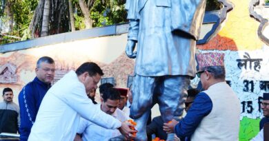 मुख्यमंत्री ने सरदार वल्लभभाई पटेल की प्रतिमा पर पुष्पांजलि अर्पित कर दी श्रद्धांजलि